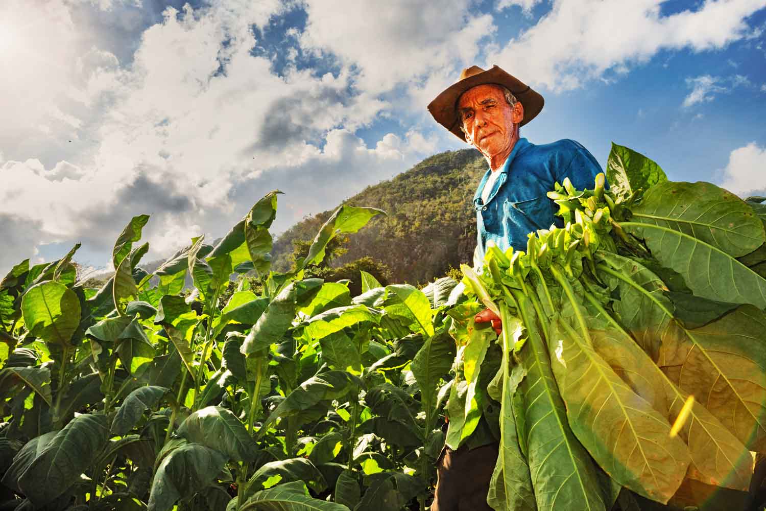Cuba Pushing Renewable Energy