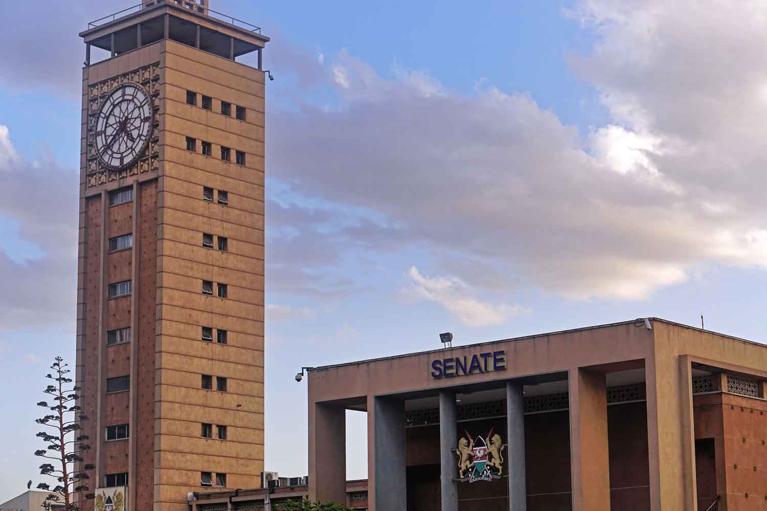 Kenya to Update Tobacco Law